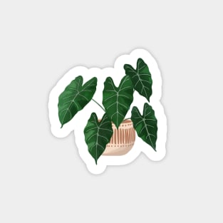 Potted Philodendron illustration Sticker